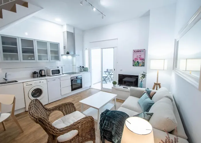 Appartement Duplex Flamingo *