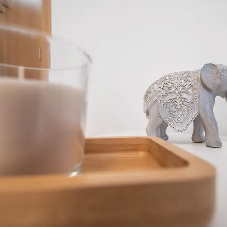 Duplex Flamingo * 加的斯