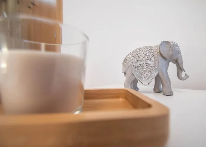 Duplex Flamingo * Cadiz